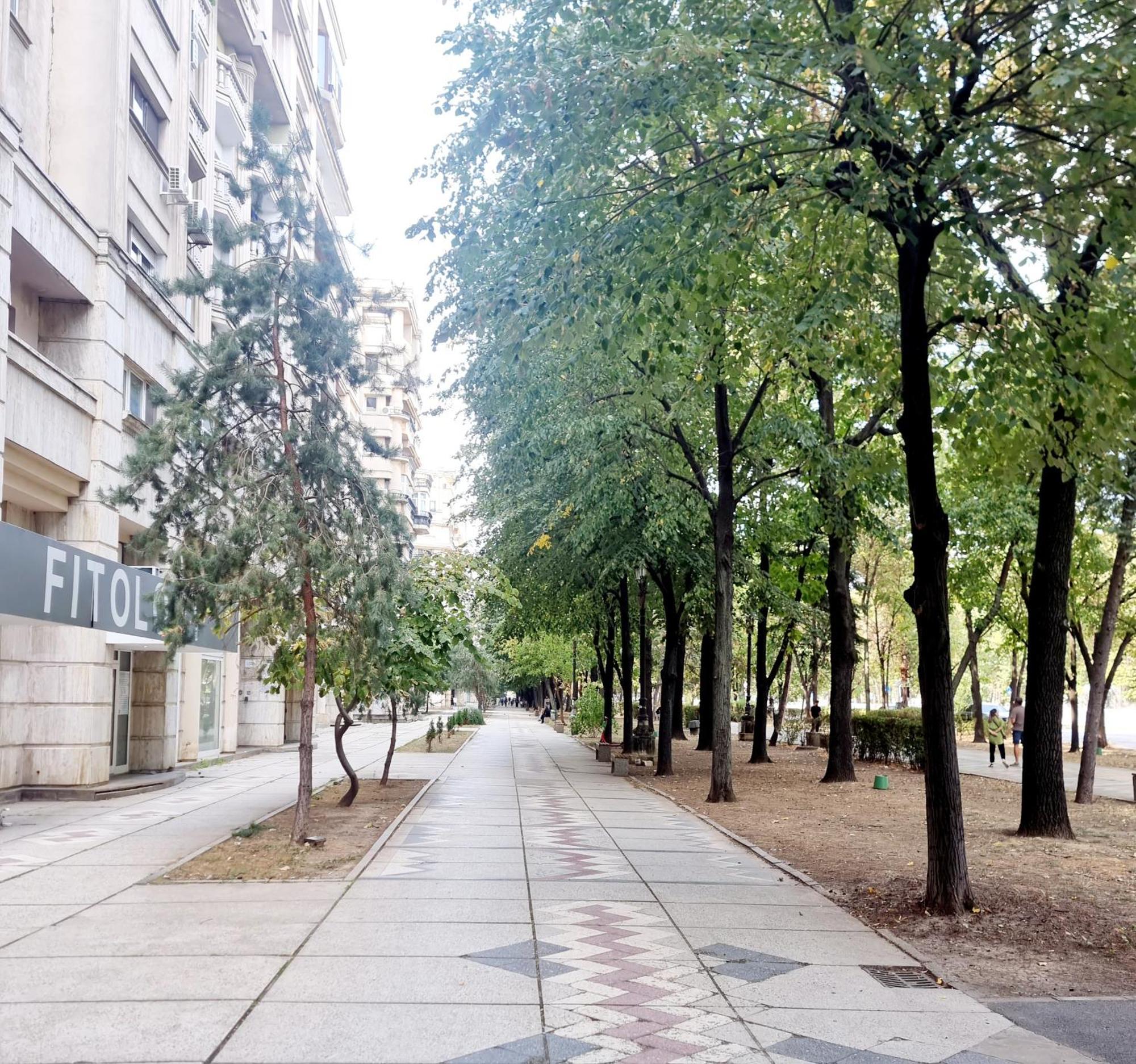 Tranquil Unirii Residence - Elegant & Spacious Living With Parking Steps From Parliament Bucureşti Eksteriør bilde