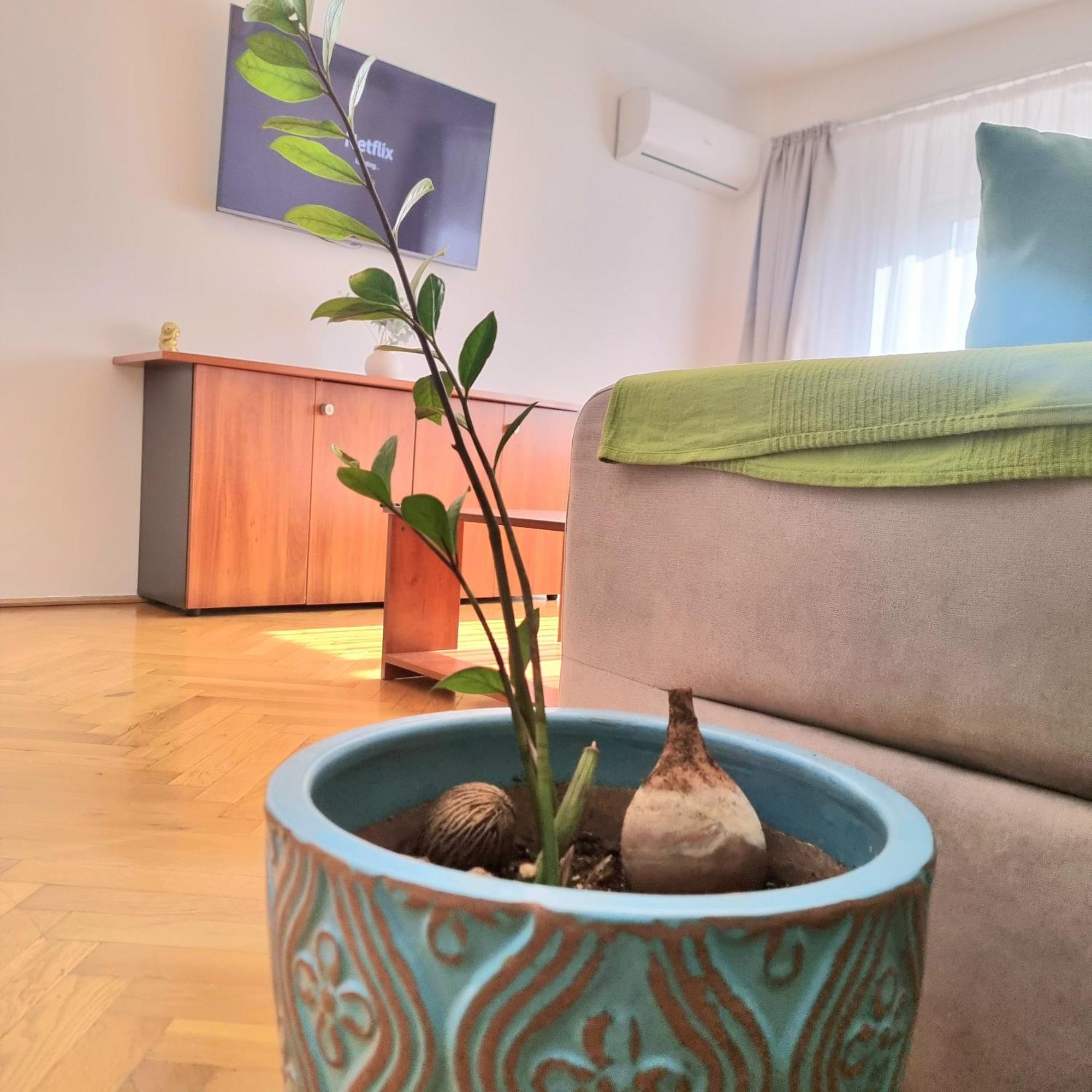 Tranquil Unirii Residence - Elegant & Spacious Living With Parking Steps From Parliament Bucureşti Eksteriør bilde